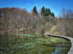 path over a lake in the forest