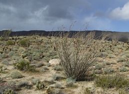 Landscape of the mountains in desert, usa, California