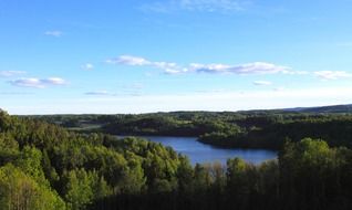 summer landscape, blue lake in green woodland