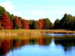 reflection of the autumn forest on the lake