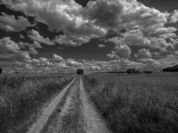 Black and white drawing of the lane under the clouds