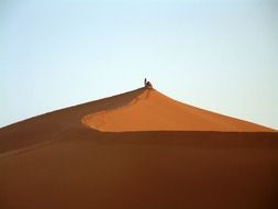 group of young people at top of sand dune in desert, morocco, sahara