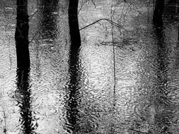 Black and white photos of puddles in rainy weather