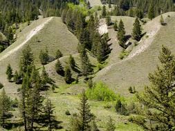 panorama of fraser plateau in canada