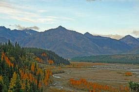 river bed in Alaska