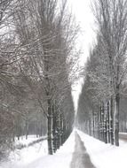 Landscape with the lane in winter