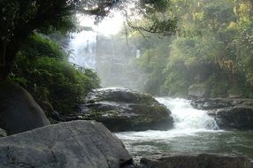 foamy stream on rocks in tropical forest