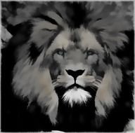 lion head, black and white, digital art