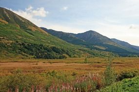 wild tundra in alaska