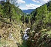 mountain river in canyon gorge
