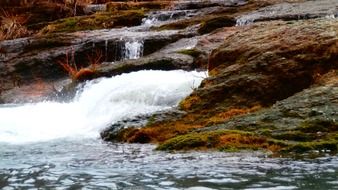 creek in the wild nature