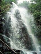 waterfall in a forest