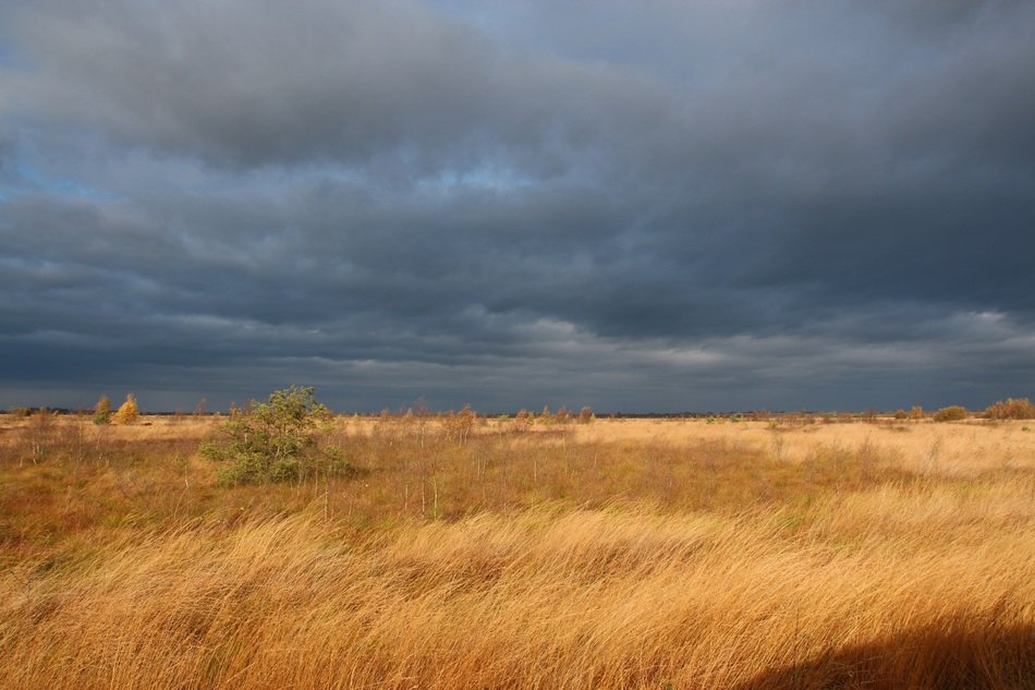 field and clouds