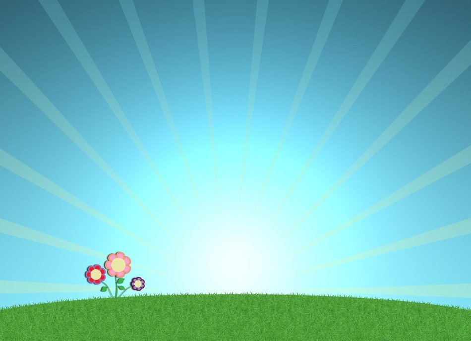 sun's rays over the flowers as a graphic image