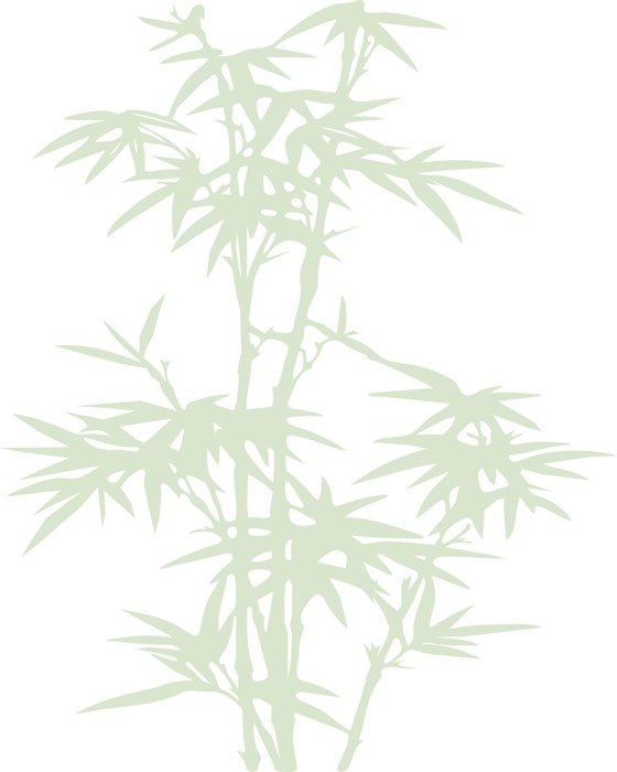 bamboo plant leaves drawing