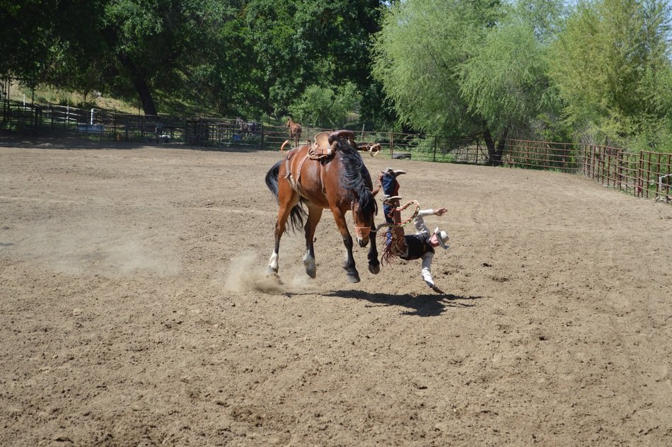 Buck off from the horse on the field among green trees