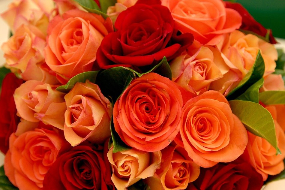 bouquet of different roses