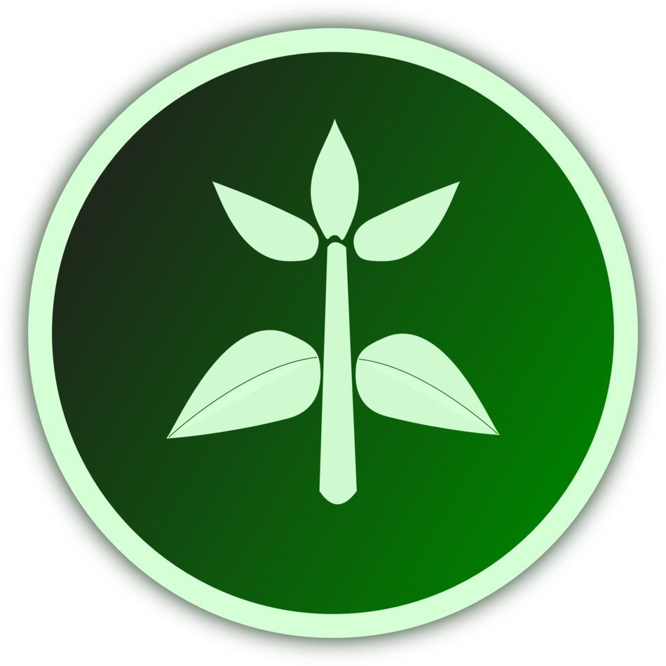 agriculture symbol of the grain plant