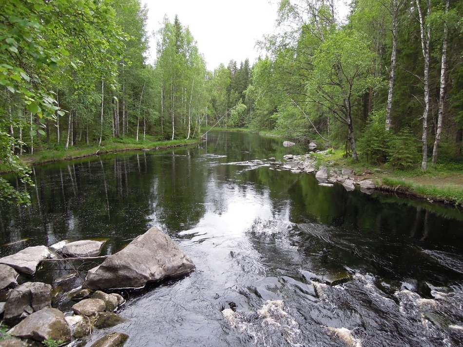 picturesque landscape of Eastern Finland