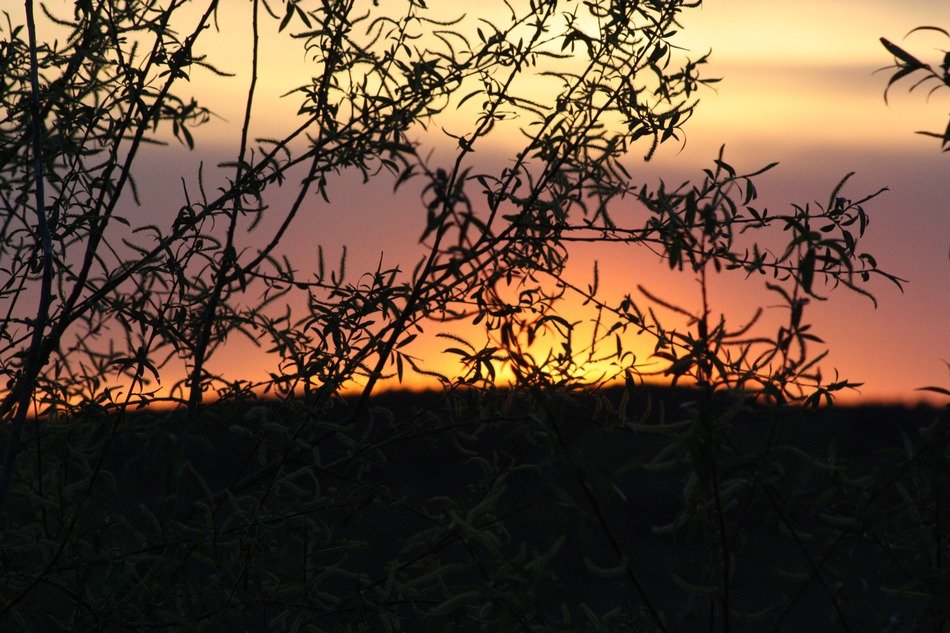 the night sky in autumn