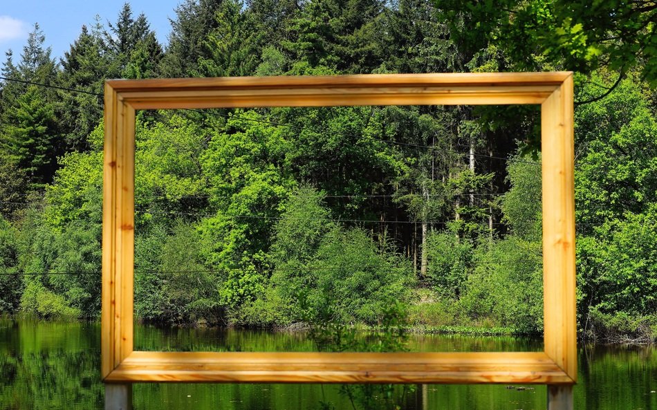 molding frame on the forest shore