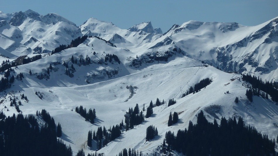 trees on the slopes of the snowy Alps