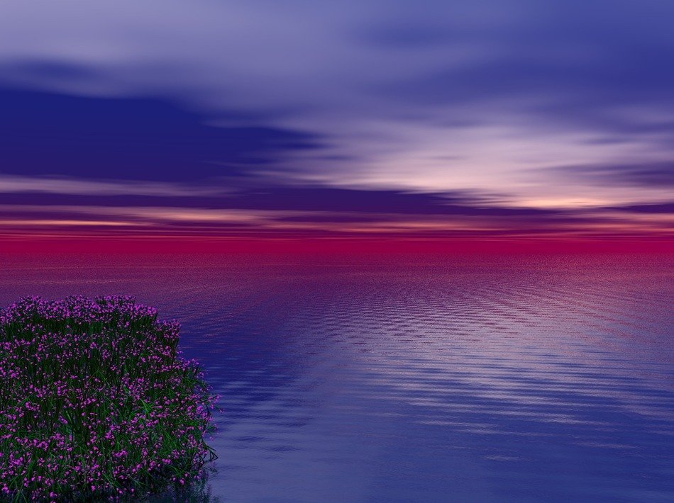 Beautiful sunset on the ocean