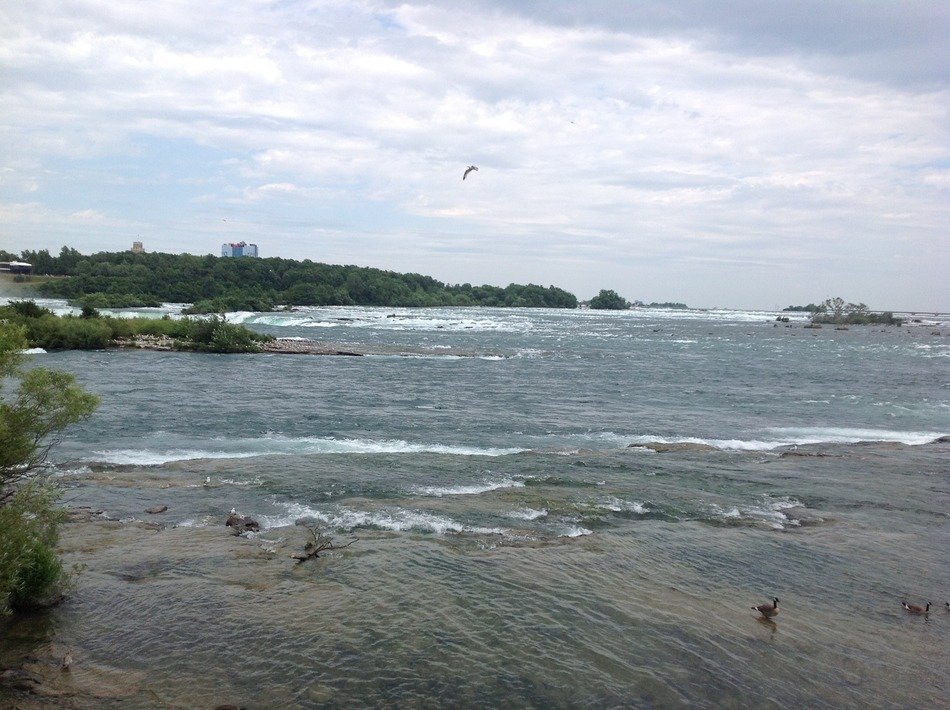Calm water near Niagara Falls
