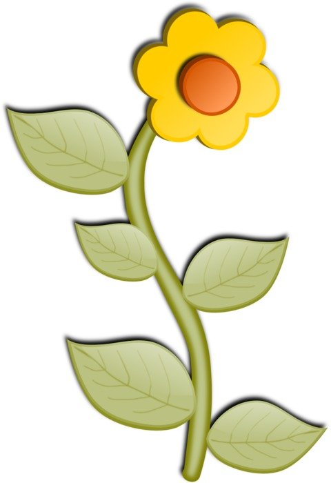 graphic image of a sunflower