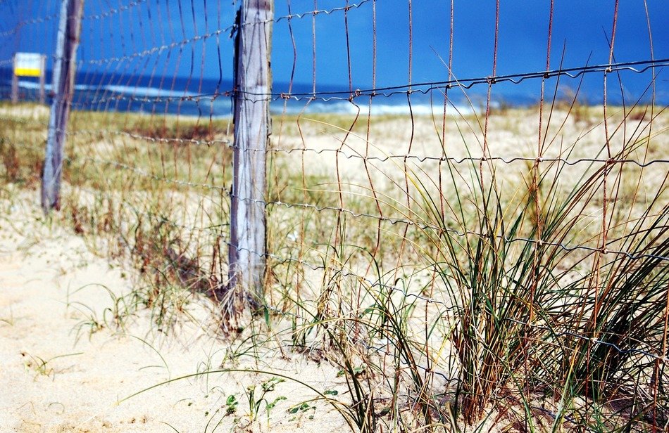 fence of sand dunes on an ocean beach