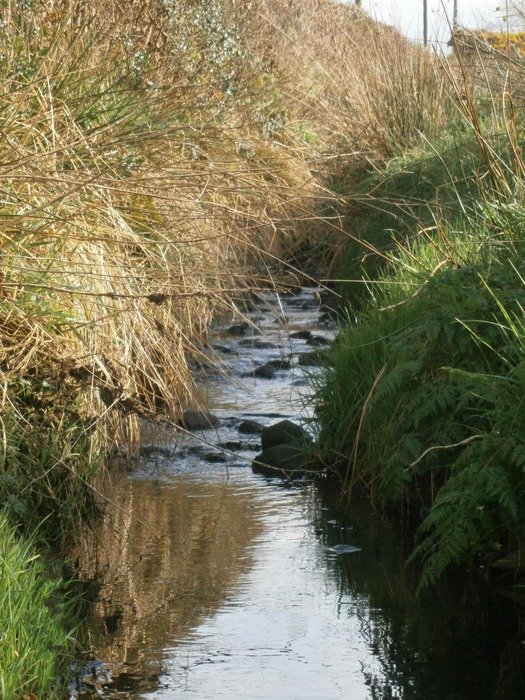 landscape of ditch with water