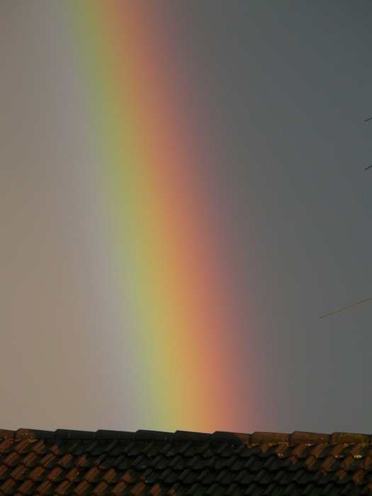 magnificent rainbow