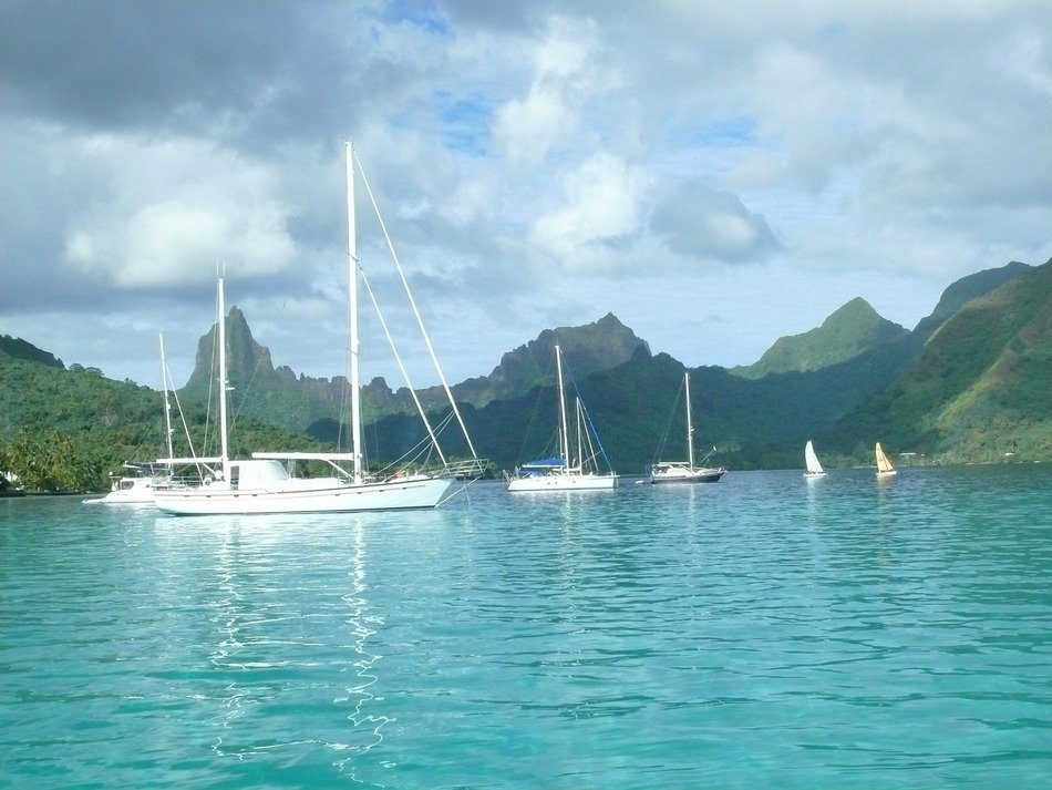 landscape of boats near the picturesque coast of the island of Moorea