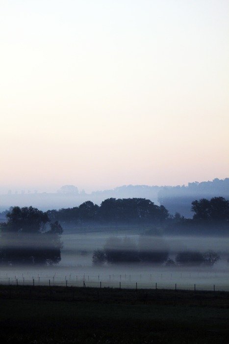 farbenspiel fog landscape