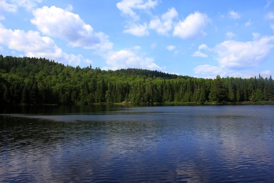 Superior National Forest in Minnesota