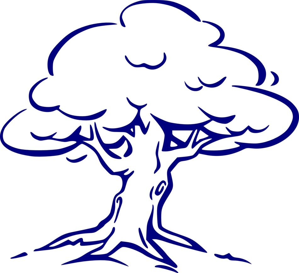 tree drawing with crown