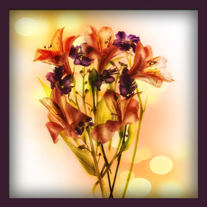 clipart of flowers mixing layers