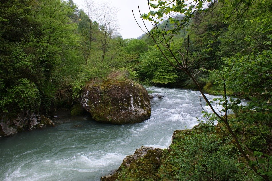 Landscape with the Kintrishi river in Georgia