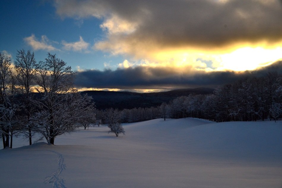snowy hillside on the background of the forest