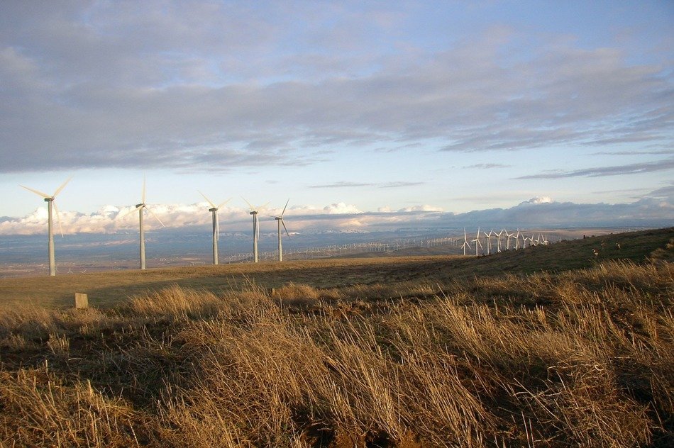 wind turbines electricity power in field