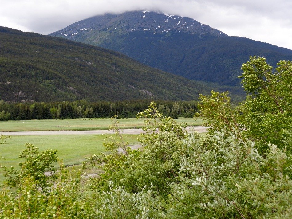 alaska summer landscape