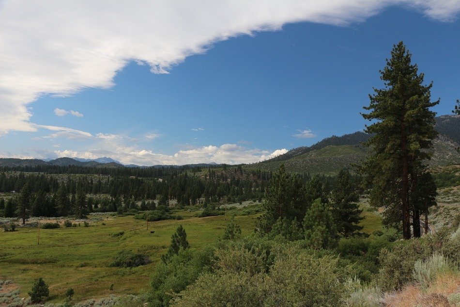 california fields landscape