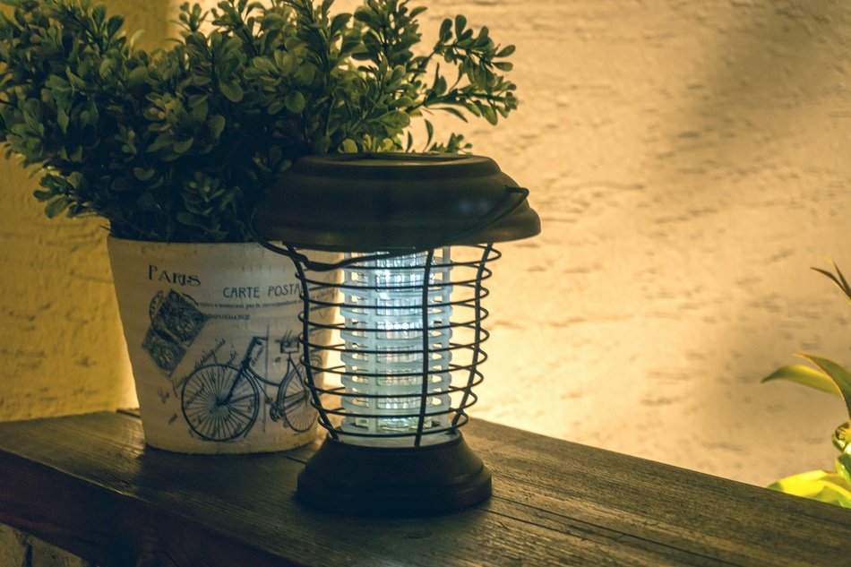 lighting and plant in pot