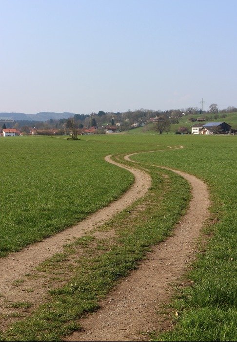 Picture of the meadow
