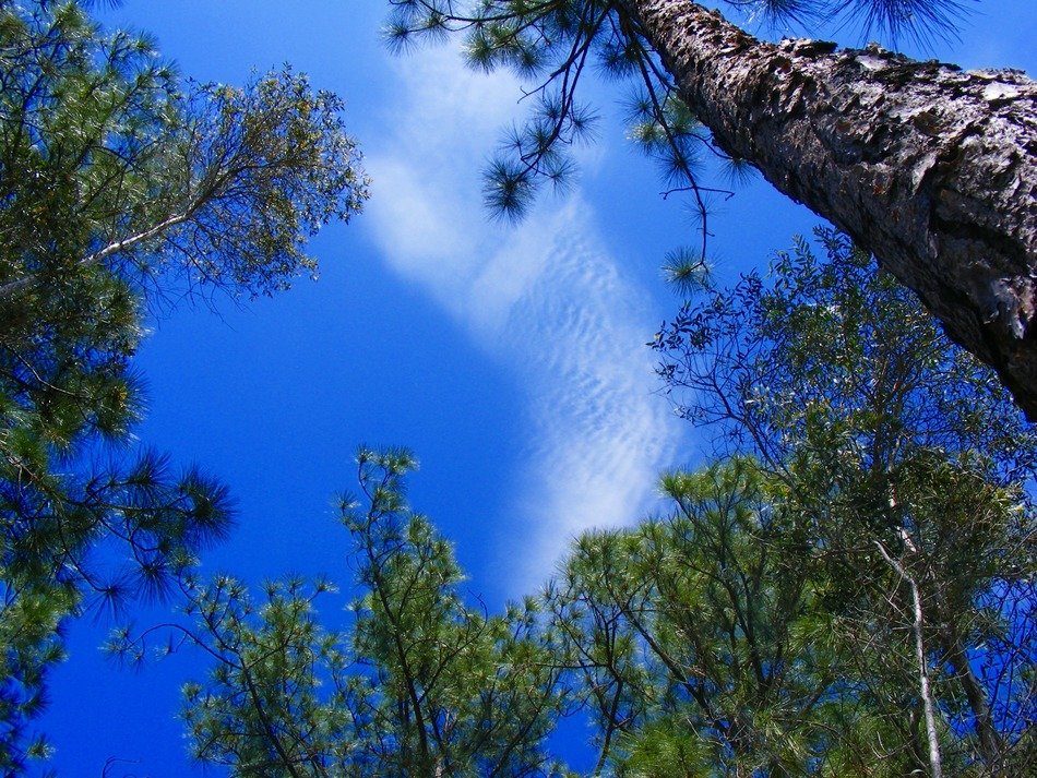 Lehigh Acres in Florida