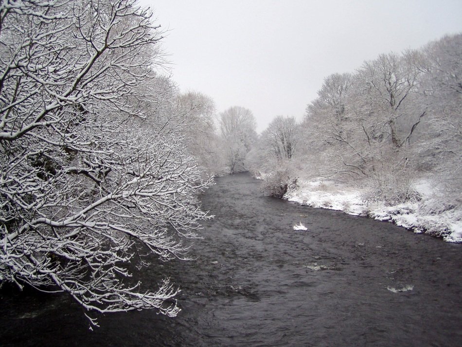 winter river in the forest