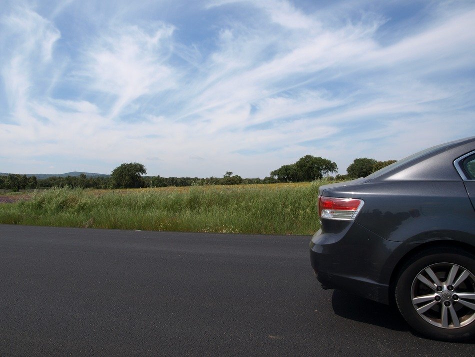 car on the road among nature