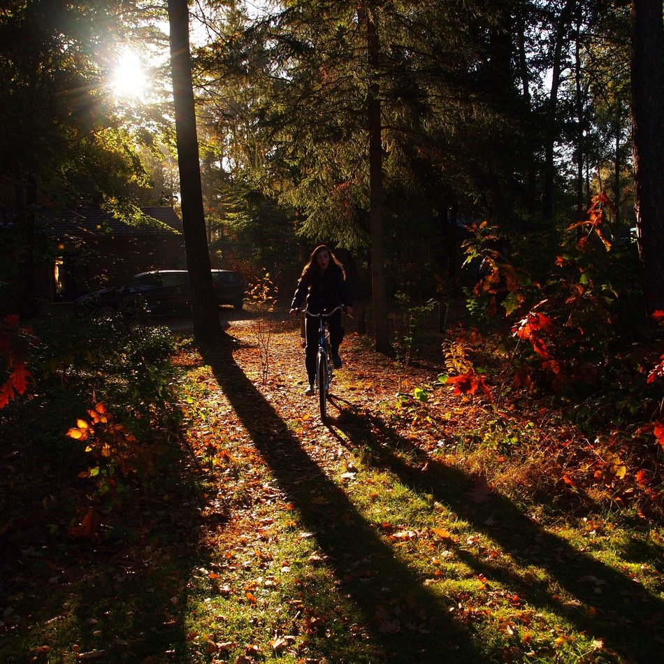 Girl on a bike in the autumn forest