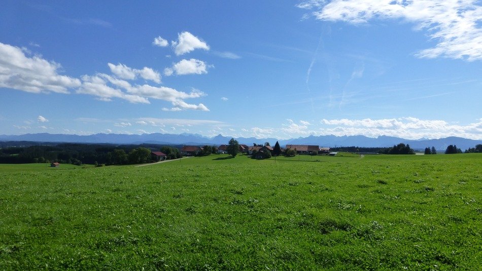 green meadow in Allgäu