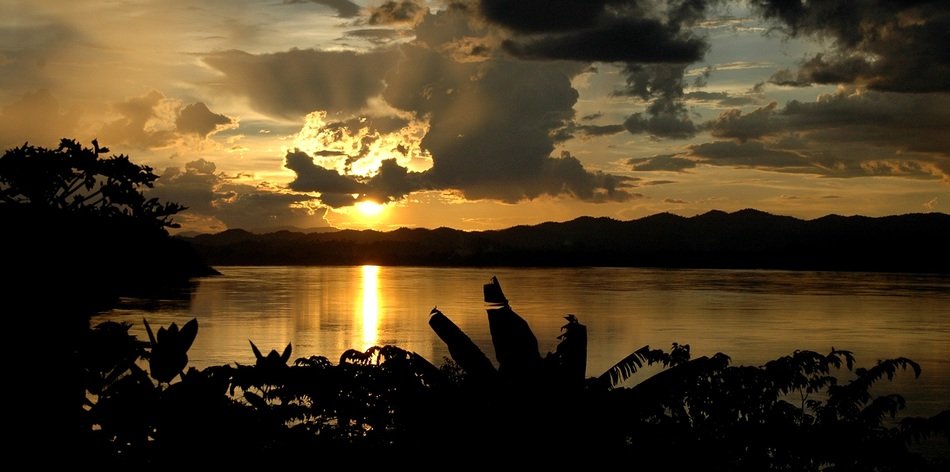 exotic grass by the river at dusk in Thailand